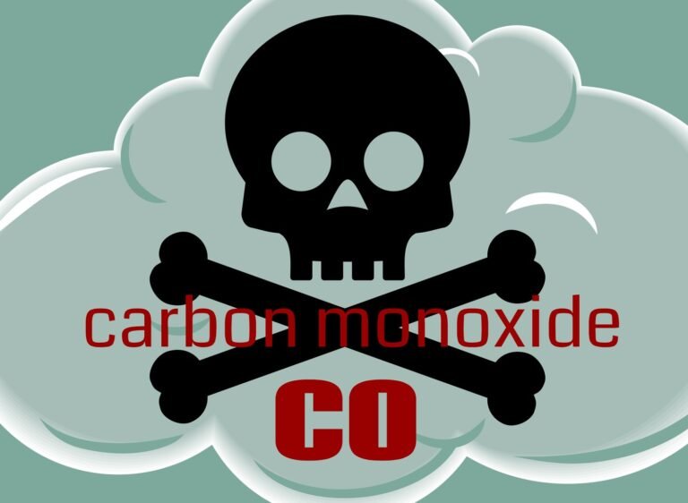 Carbon Monoxide and the Illusion of Invisibility: Understanding the Existence of Bias through Quality of Life Indicators